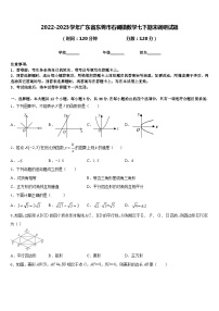 2022-2023学年广东省东莞市石碣镇数学七下期末调研试题含答案