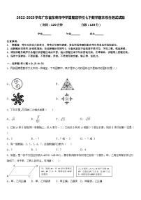 2022-2023学年广东省东莞市中学堂星晨学校七下数学期末综合测试试题含答案