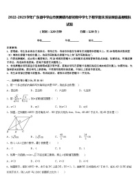 2022-2023学年广东省中学山市黄圃镇马新初级中学七下数学期末质量跟踪监视模拟试题含答案