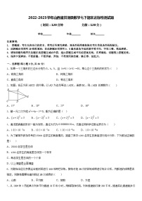 2022-2023学年山西省洪洞县数学七下期末达标检测试题含答案