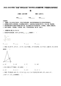 2022-2023学年广东省广州市白云区广外外学校七年级数学第二学期期末达标检测试题含答案