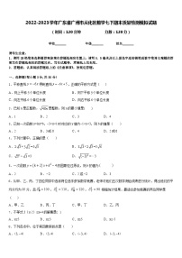 2022-2023学年广东省广州市从化区数学七下期末质量检测模拟试题含答案