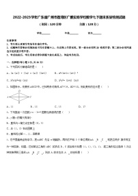 2022-2023学年广东省广州市荔湾区广雅实验学校数学七下期末质量检测试题含答案