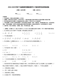 2022-2023学年广东省惠州市惠阳区数学七下期末教学质量检测试题含答案