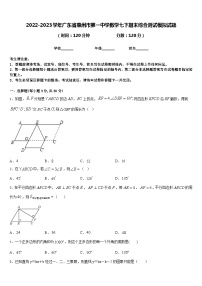 2022-2023学年广东省惠州市第一中学数学七下期末综合测试模拟试题含答案