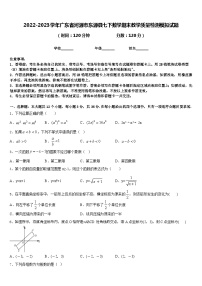 2022-2023学年广东省河源市东源县七下数学期末教学质量检测模拟试题含答案