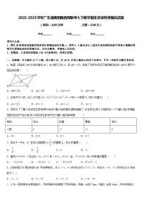 2022-2023学年广东省揭阳揭西县联考七下数学期末质量检测模拟试题含答案