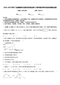 2022-2023学年广东省揭阳市空港经济区砲台镇七下数学期末教学质量检测模拟试题含答案