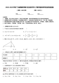 2022-2023学年广东省梅州市梅江区实验中学七下数学期末教学质量检测试题含答案