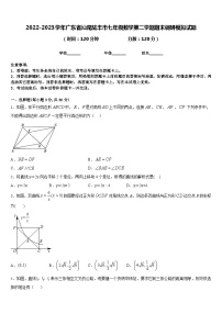 2022-2023学年广东省汕尾陆丰市七年级数学第二学期期末调研模拟试题含答案