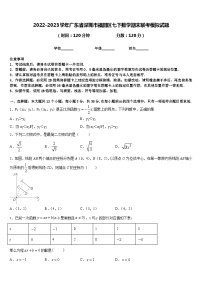 2022-2023学年广东省深圳市福田区七下数学期末联考模拟试题含答案