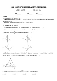 2022-2023学年广东省深圳市南山区数学七下期末监测试题含答案