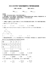 2022-2023学年广东茂名市直属学校七下数学期末监测试题含答案