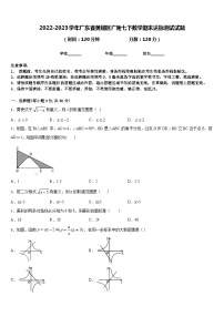 2022-2023学年广东省黄埔区广附七下数学期末达标测试试题含答案