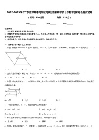 2022-2023学年广东省深圳市龙岗区龙岗街道新梓学校七下数学期末综合测试试题含答案