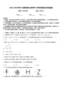 2022-2023学年广东省珠海市九洲中学七下数学期末复习检测试题含答案