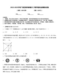 2022-2023学年广西北海市银海区七下数学期末监测模拟试题含答案