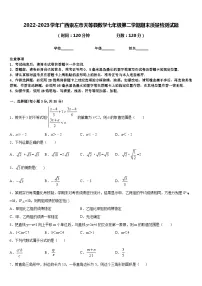 2022-2023学年广西崇左市天等县数学七年级第二学期期末质量检测试题含答案