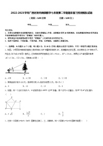 2022-2023学年广西河池市两县数学七年级第二学期期末复习检测模拟试题含答案