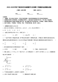 2022-2023学年广西河池市天峨县数学七年级第二学期期末监测模拟试题含答案