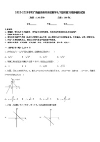 2022-2023学年广西省百色市名校数学七下期末复习检测模拟试题含答案