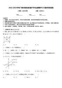 2022-2023学年广西壮族自治区南宁市马山县数学七下期末检测试题含答案