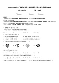 2022-2023学年广西防城港市上思县数学七下期末复习检测模拟试题含答案