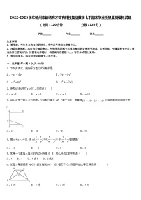 2022-2023学年杭州市锦绣育才教育科技集团数学七下期末学业质量监测模拟试题含答案