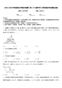 2022-2023学年新疆生产建设兵团第二师二十七团中学七下数学期末考试模拟试题含答案