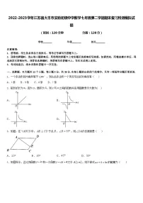 2022-2023学年江苏省大丰市实验初级中学数学七年级第二学期期末复习检测模拟试题含答案