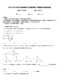 2022-2023学年江苏省如皋市七年级数学第二学期期末达标测试试题含答案