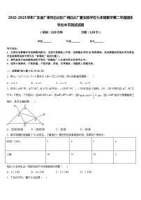 2022-2023学年广东省广州市白云区广州白云广雅实验学校七年级数学第二学期期末学业水平测试试题含答案