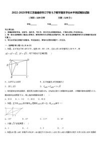 2022-2023学年江苏省南京市江宁区七下数学期末学业水平测试模拟试题含答案