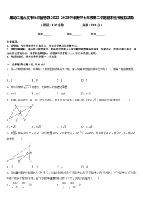 黑龙江省大庆市杜尔伯特县2022-2023学年数学七年级第二学期期末统考模拟试题含答案