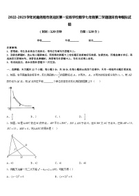 2022-2023学年河南洛阳市洛龙区第一实验学校数学七年级第二学期期末统考模拟试题含答案