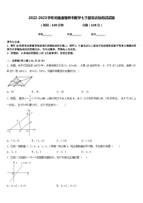 2022-2023学年河南省偃师市数学七下期末达标测试试题含答案