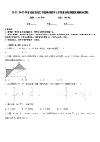 2022-2023学年河南省周口市鹿邑县数学七下期末质量跟踪监视模拟试题含答案