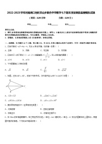 2022-2023学年河南周口地区洪山乡联合中学数学七下期末质量跟踪监视模拟试题含答案