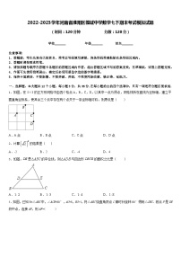 2022-2023学年河南省淮阳区羲城中学数学七下期末考试模拟试题含答案