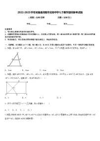 2022-2023学年河南省洛阳市实验中学七下数学期末联考试题含答案