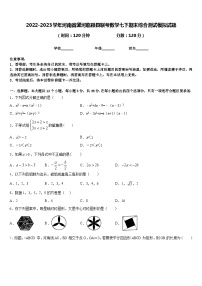 2022-2023学年河南省漯河临颍县联考数学七下期末综合测试模拟试题含答案