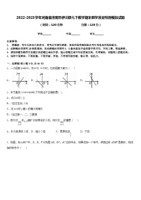 2022-2023学年河南省洛阳市伊川县七下数学期末教学质量检测模拟试题含答案