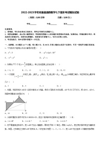 2022-2023学年河南省温县数学七下期末考试模拟试题含答案