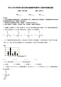 2022-2023学年浙江嘉兴北师大南湖附学校数学七下期末考试模拟试题含答案