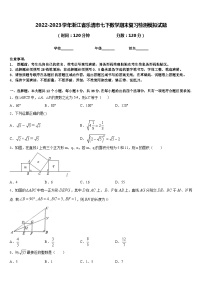 2022-2023学年浙江省乐清市七下数学期末复习检测模拟试题含答案