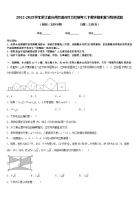 2022-2023学年浙江省台州市温岭市五校联考七下数学期末复习检测试题含答案