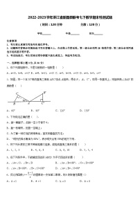 2022-2023学年浙江省新昌县联考七下数学期末检测试题含答案