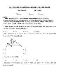 2022-2023学年浙江省杭州市杭六中学数学七下期末质量检测试题含答案