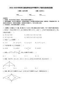 2022-2023学年浙江省杭州市启正中学数学七下期末达标测试试题含答案