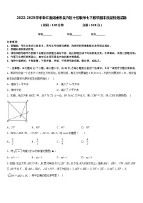 2022-2023学年浙江省湖州市吴兴区十校联考七下数学期末质量检测试题含答案